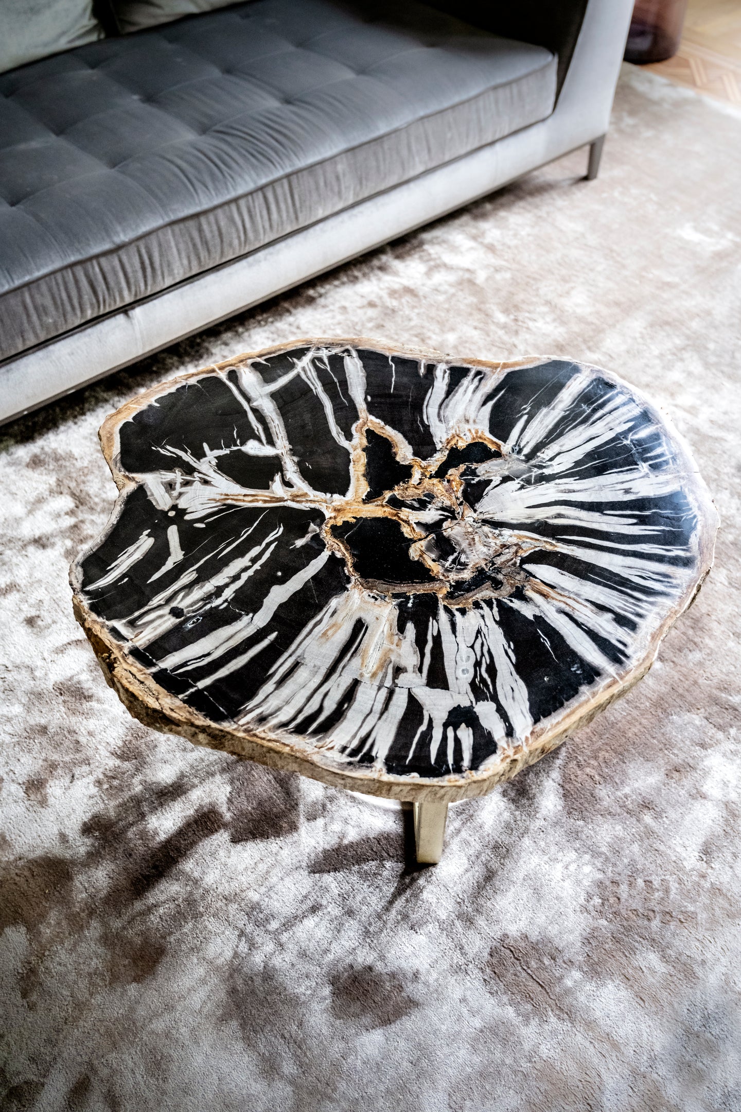 Petrified wood table