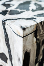 Load image into Gallery viewer, Petrified wood cube
