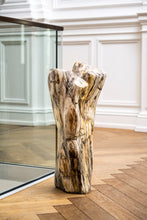 Load image into Gallery viewer, Petrified wood log
