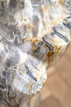 Load image into Gallery viewer, Petrified wood log
