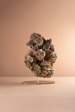 Load image into Gallery viewer, &#39;A&#39; Grade Desert Rose Selenite Crystal
