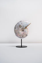 Load image into Gallery viewer, &#39;A&#39; Grade | Iridescent Ammonite | Madagascar
