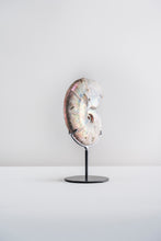 Load image into Gallery viewer, &#39;A&#39; Grade | Iridescent Ammonite | Madagascar
