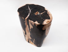 Load image into Gallery viewer, Petrified Wood trunk | Indonesia
