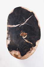 Load image into Gallery viewer, Petrified Wood trunk | Indonesia
