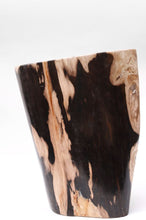 Load image into Gallery viewer, Petrified Wood trunk | Indonesia
