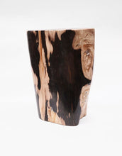 Load image into Gallery viewer, Petrified Wood trunk | Indonesia
