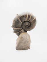 Load image into Gallery viewer, SOLD | A Large ‘Winged’ Ammonite | France
